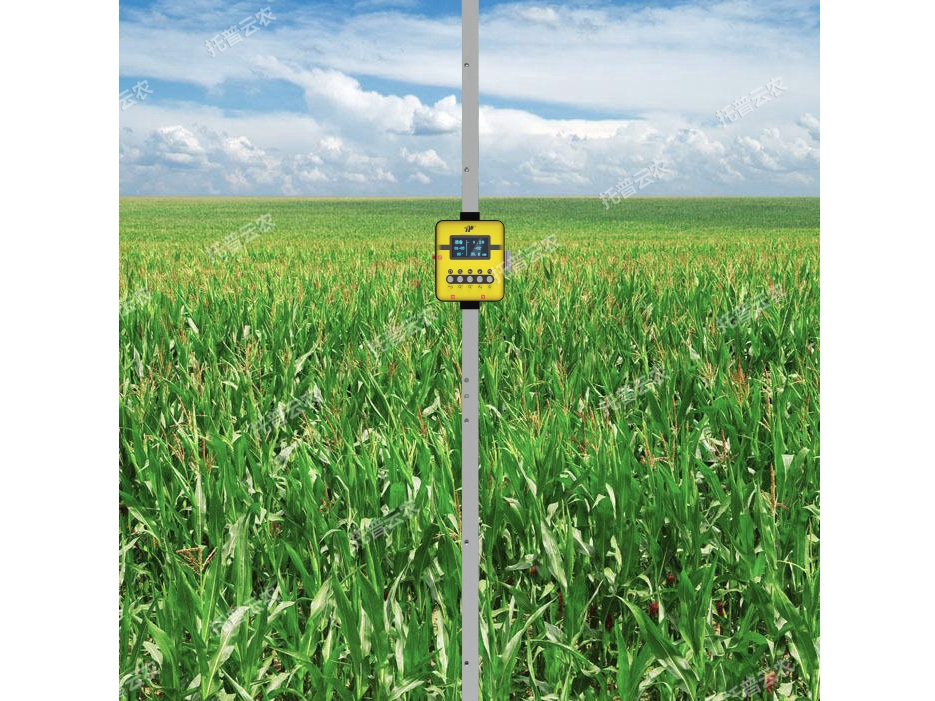 活體抗倒伏測(cè)定儀 TPDF-1